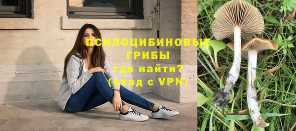 дурь Гусиноозёрск