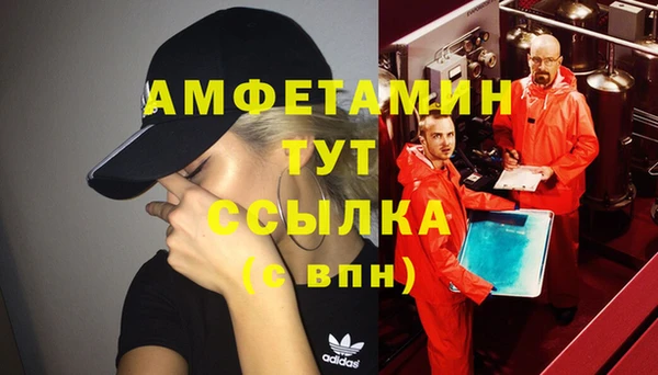 индика Горно-Алтайск