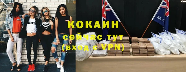 дурь Гусиноозёрск