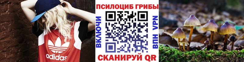 Купить где  Лысьва  Галлюциногенные грибы мухоморы 